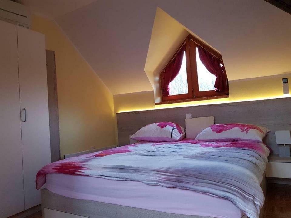 Tulpika 13 Apartman Alsómarác Kültér fotó